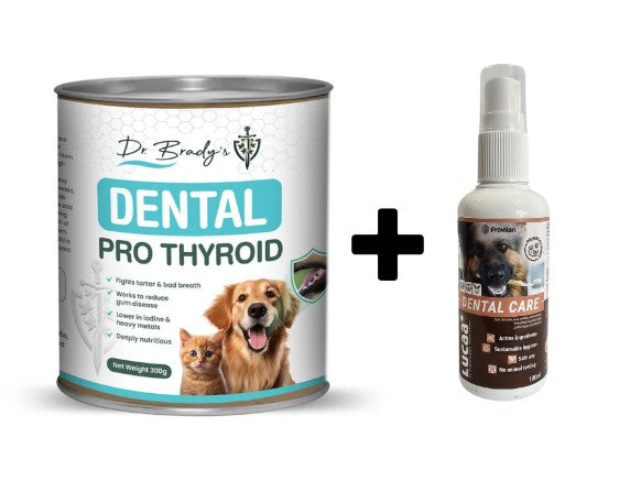 Dental Duo